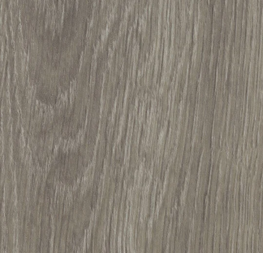 60280FL1 grey giant oak (150x28 cm)